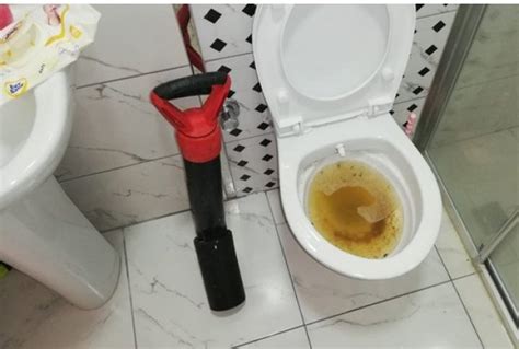 alafranga tuvalet tıkanıklığı nasıl açılır